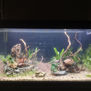 Publication de mactouch