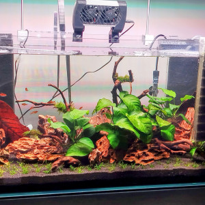 Aquarium 80L
