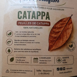 Feuilles de catappa x10 – moyennes (15–20 cm) – aquarium biotope
