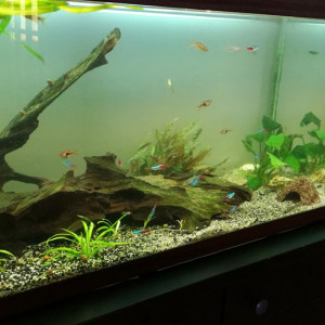 180litre