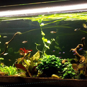300l