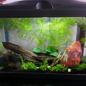 20 L
