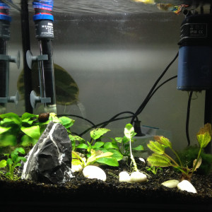 Superfish 30L