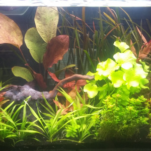100L