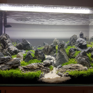 Aquascaping