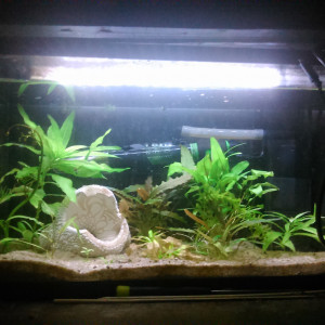 20L2