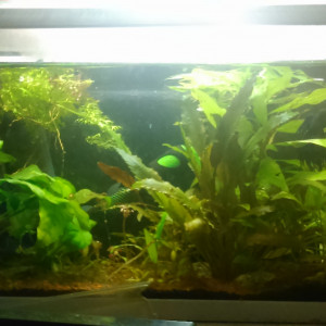 20L3