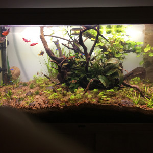 180L