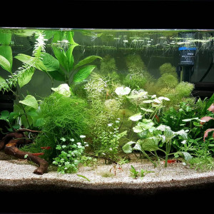 60litres