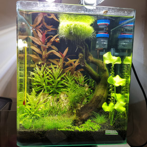 Nanocube