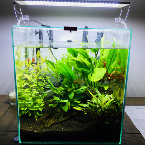 Nano