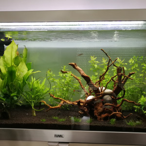 Mon aqua