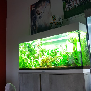 Rio 180