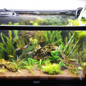 55litres