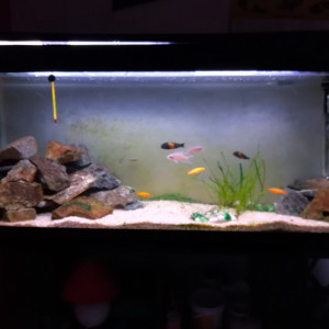 Taganyka 240L