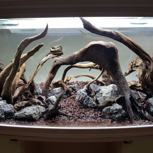 Aquascape