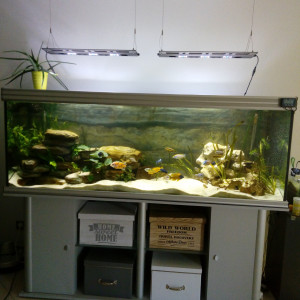 840 l aquatlantis Malawi