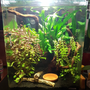 Nano 30L