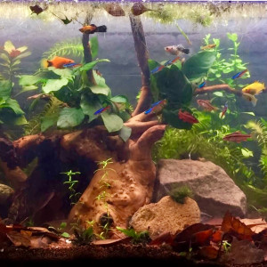 120L