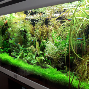 180 L