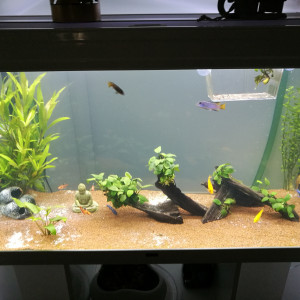 250L eau chaude