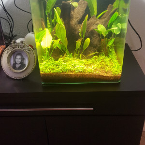 Nano 30L