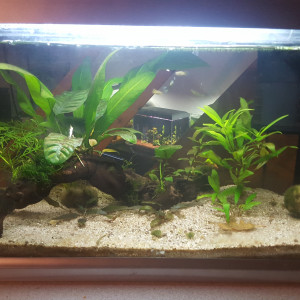 60L communautaire