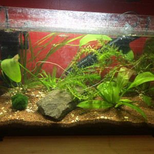 Nano Bac 18l