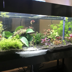 aqua170