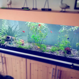 600L