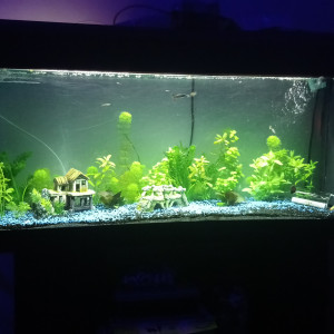 130L