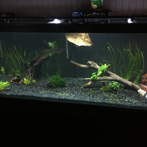 125 gallons