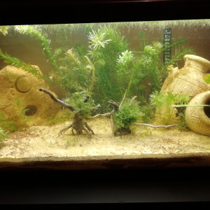 54L low tech