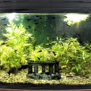 Tetra AquaArt Led