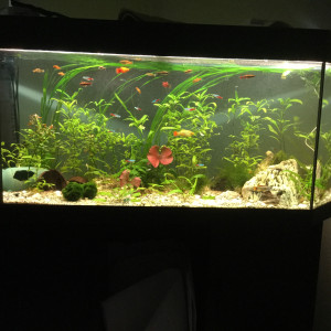 150l
