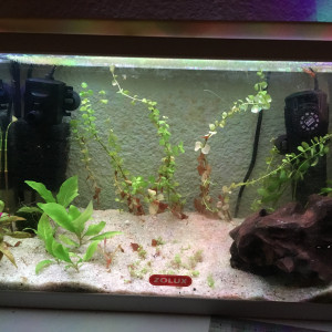 20L