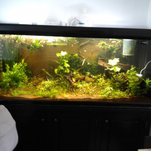 450l