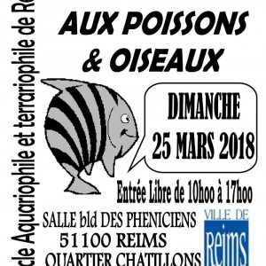 Bourse aux poissons et oiseaux