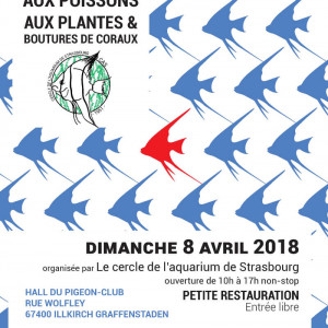 Bourse aux poissons