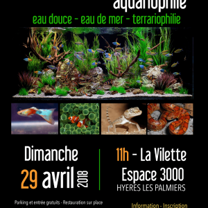 13ème bourse aquariophile