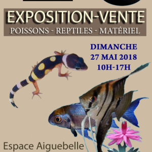 3ème bourse aux poissons et reptiles