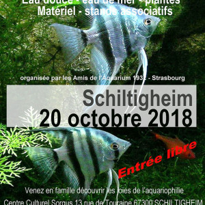 Bourse aux poissons