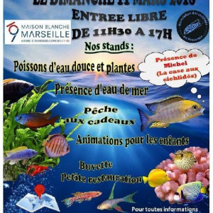 Association Des Cichlidés En Provence