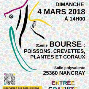 31eme Bourse Nancray