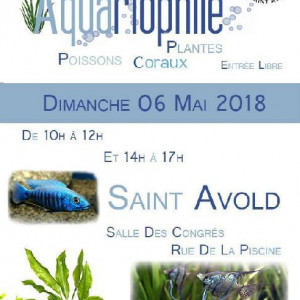 Bourse Saint Avold