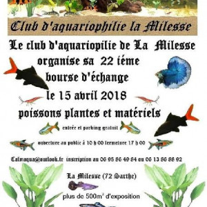 Bourse La Milesse
