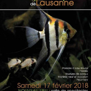 29ème Bourse Aquariophile De Lausanne