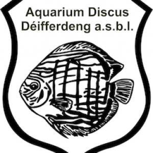 discusdifferdange