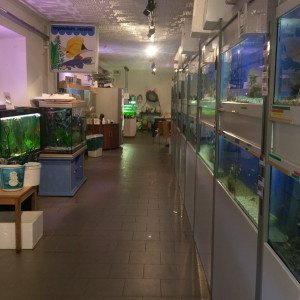 Shop- aquarium