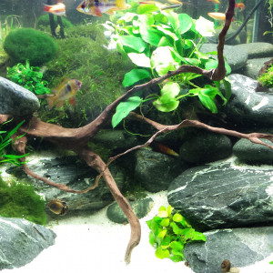 Nano 60 L